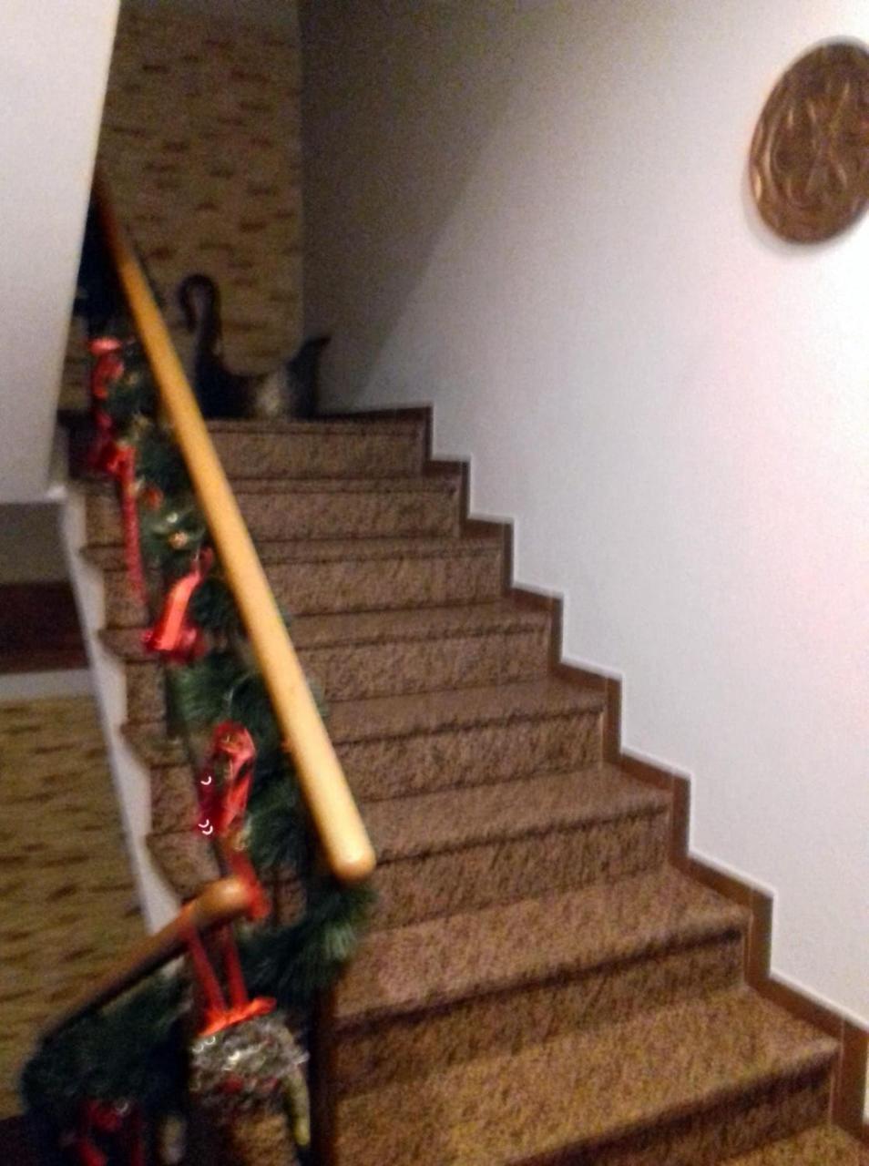 Dom Goscinny Gerus Pławna Kültér fotó